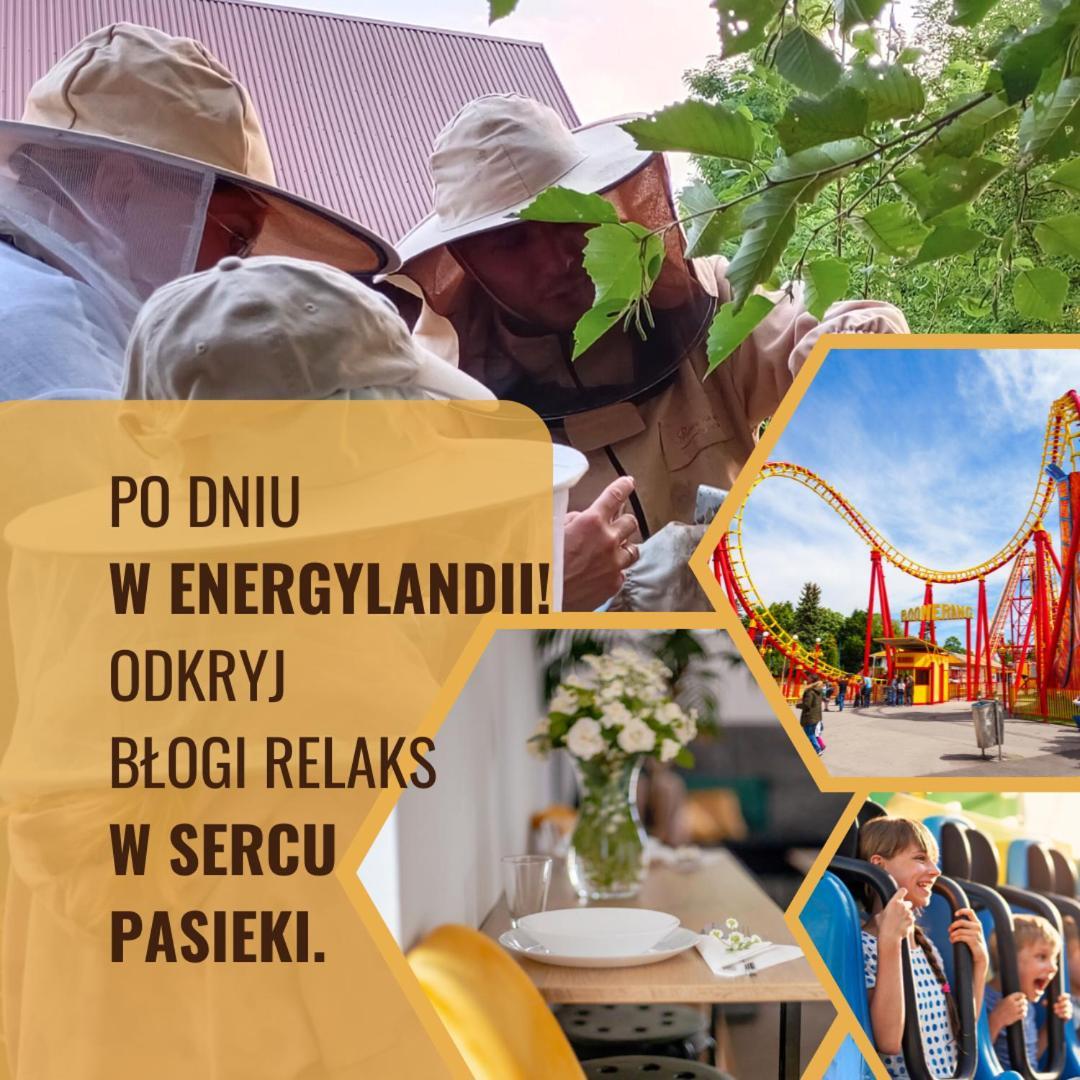 Miodowa Zagroda - Nocleg Zator Energylandia Miejsce Esterno foto
